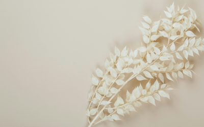 Frühlingserwachen am Parkett: Hexensabbat und Fed-Euphorie treiben die Kurse