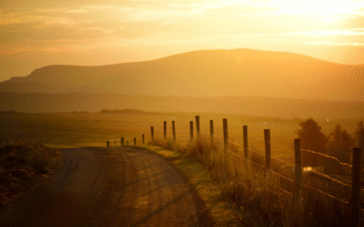 Wochenrückblick: DAX-Krimi um die 25.000er-Marke und Warten auf den KI-Giganten