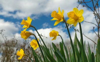 März-Schock: Zwischen Öl-Rallye und US-Arbeitsmarkt-Dämpfer